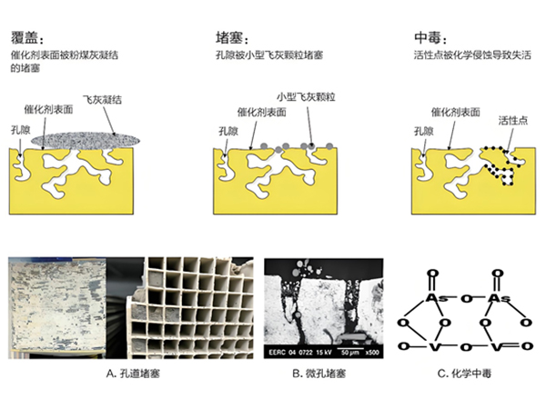 催化剂说明.jpg